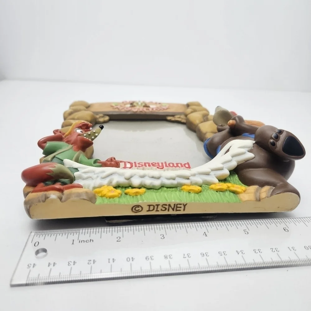 Rare splash Mountain picture frame